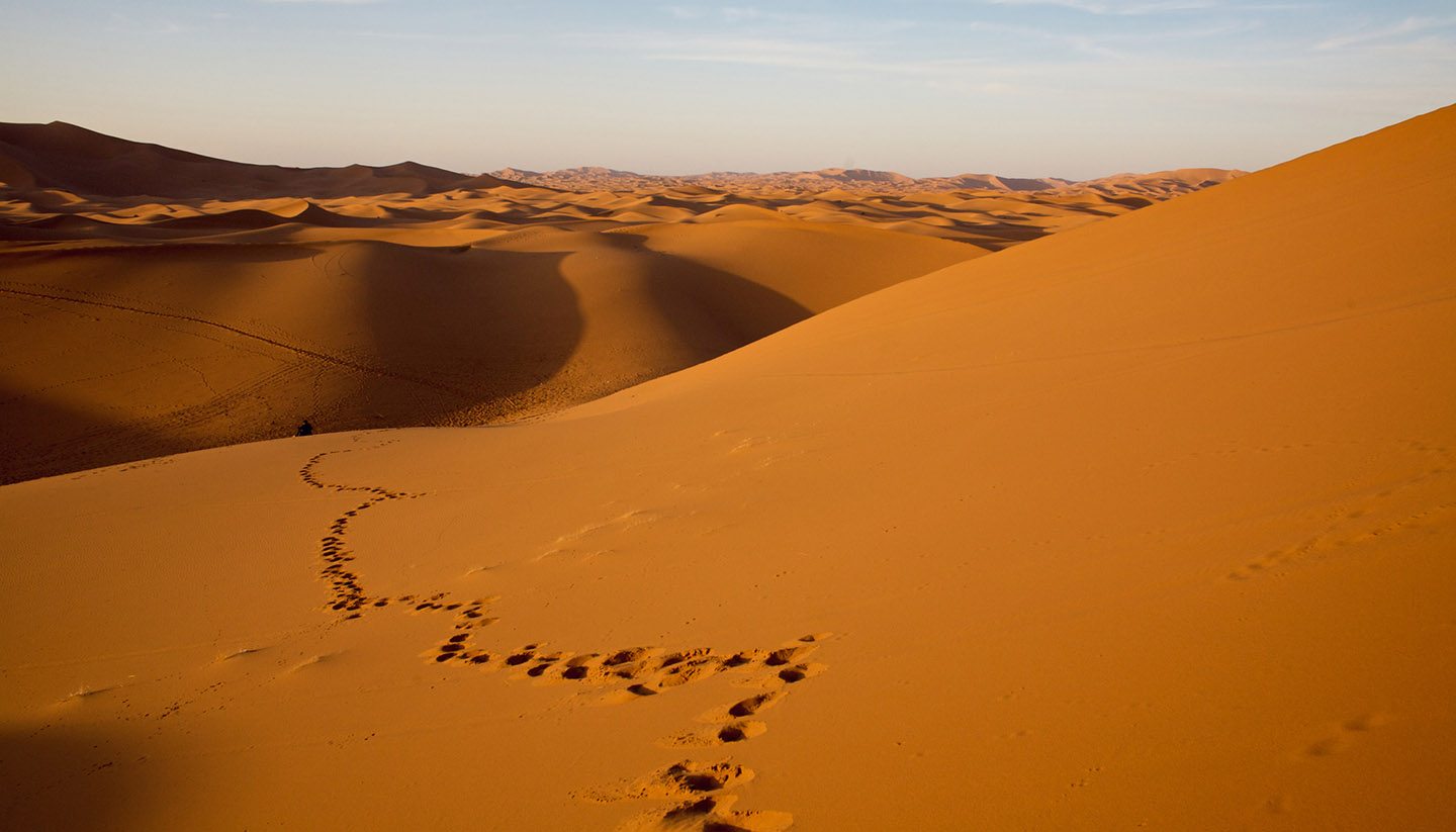 Mauritania - Footprint in desert dunes, Mauritania