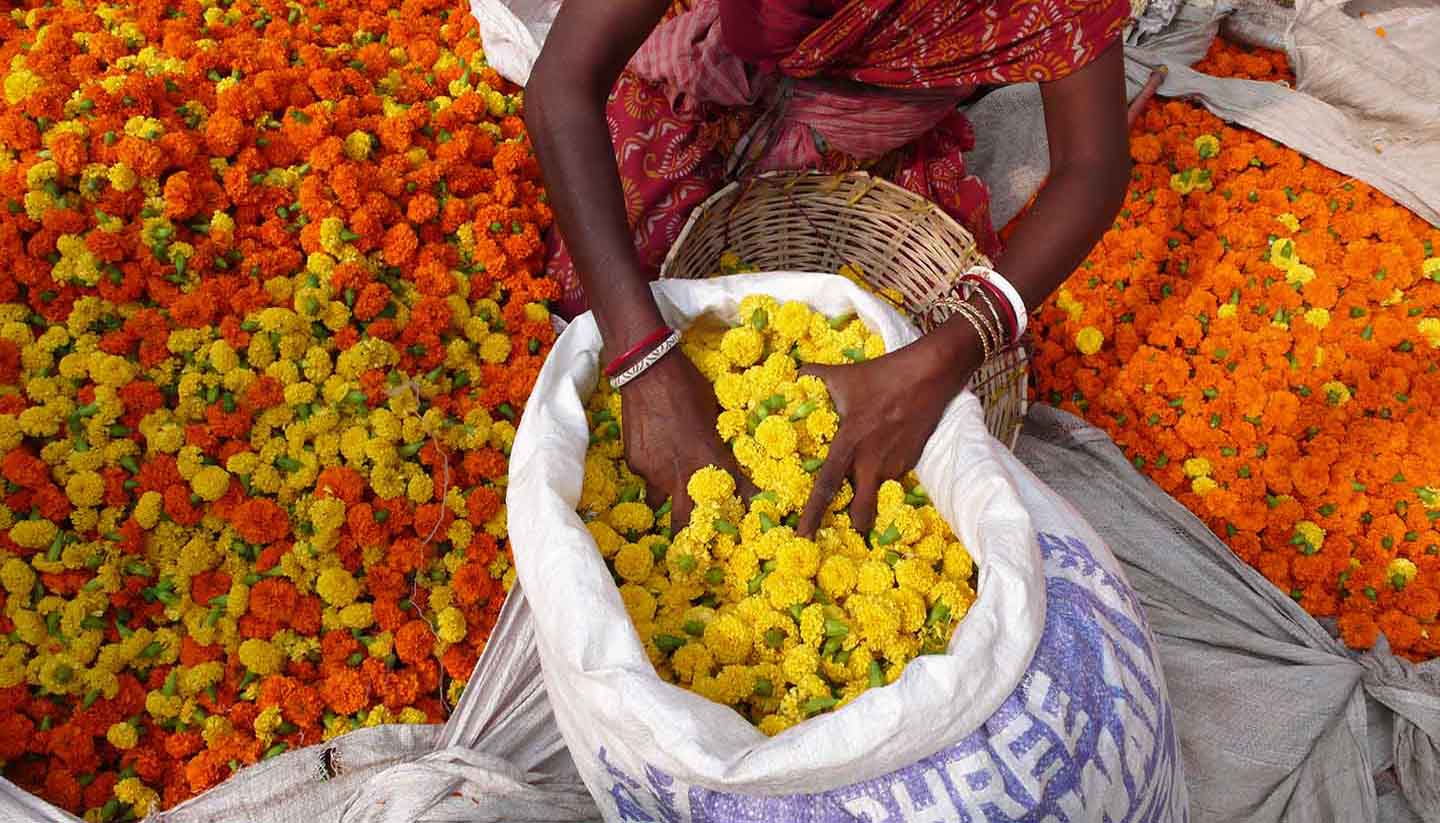 Kolkata (Calcutta) - Flower market. Kolkata. India